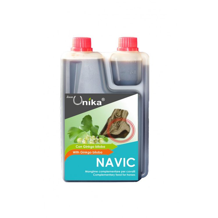 NAVIC (1.25 LT) LU00071
