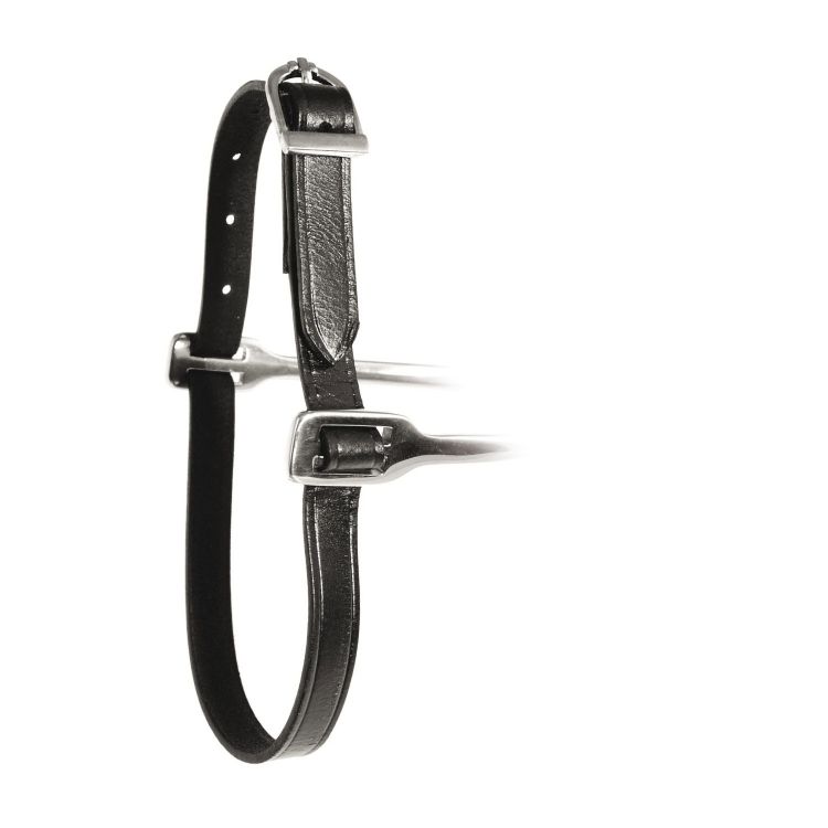 LEATHER SPUR STRAPS