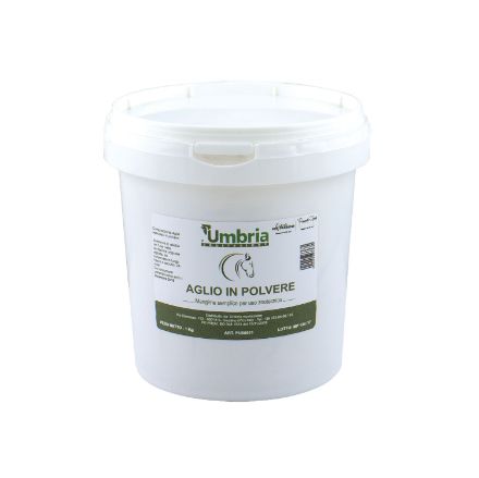 AMA GARLIC POWDER POWDER GARLIC (1 KG)