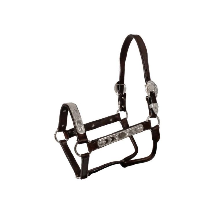 POOL'S LEATHER HALTER ELHT/00935