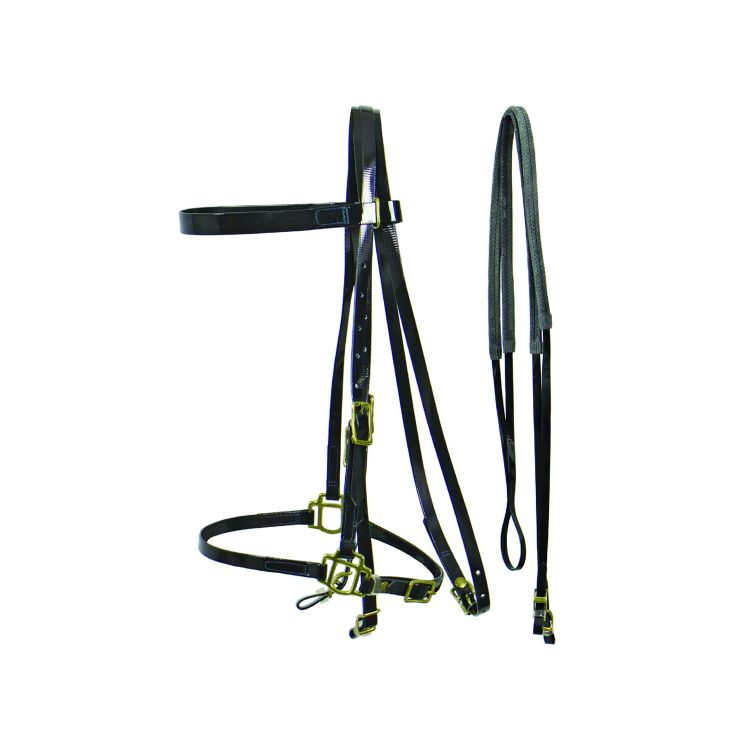 BIOTHANE SNAFFLE BRIDLE