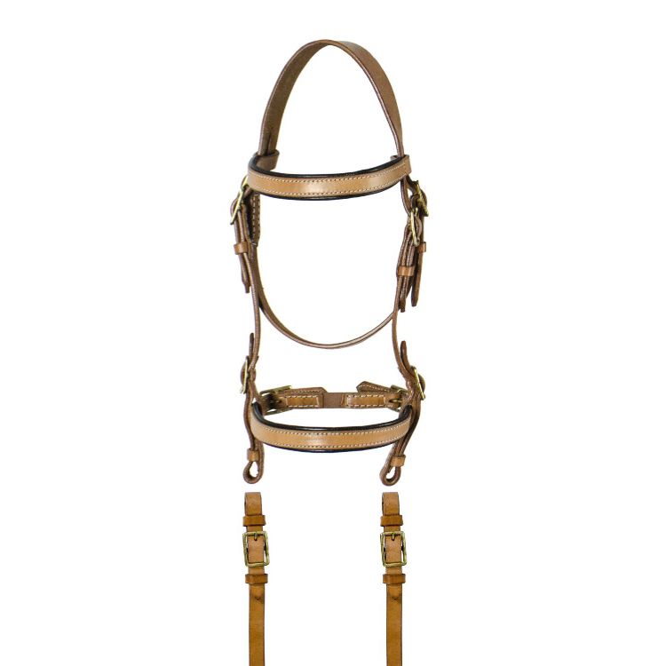 LAKOTA SARDINIAN BRIDLE