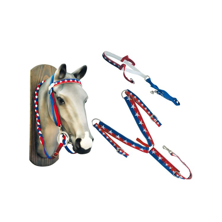 USA NYLON SET: HEADSTALL, REINS, BREASTPLATE, NOSEBAND AND TIEDOWN