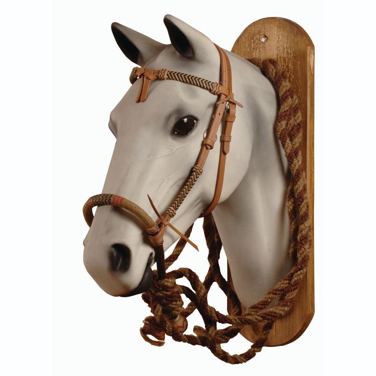 POOL'S RAWHIDE D488 BOSAL SET