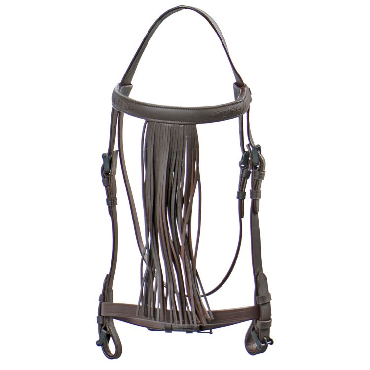 VAQUERA BRIDLE