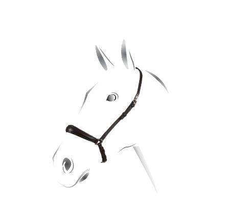 EQUESTRO GERMAN STYLE NOSEBAND
