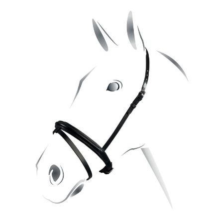 EQUESTRO FLASH NOSEBAND