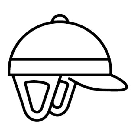 Show products in category helmets Picture for category helmets