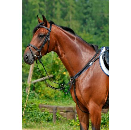 BREASTPLATE WITH ELASTIC AND RUNNING ATTACHMENT