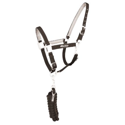 EQUESTRO HALTER WITH WHITE BUCKLES, FUSION MODEL