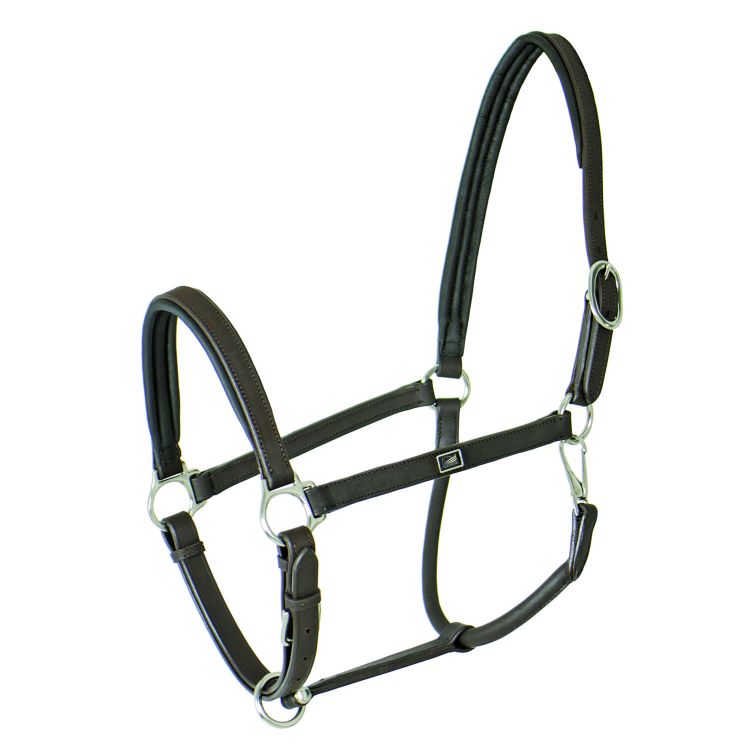 SUPREME PADDED LEATHER HALTER