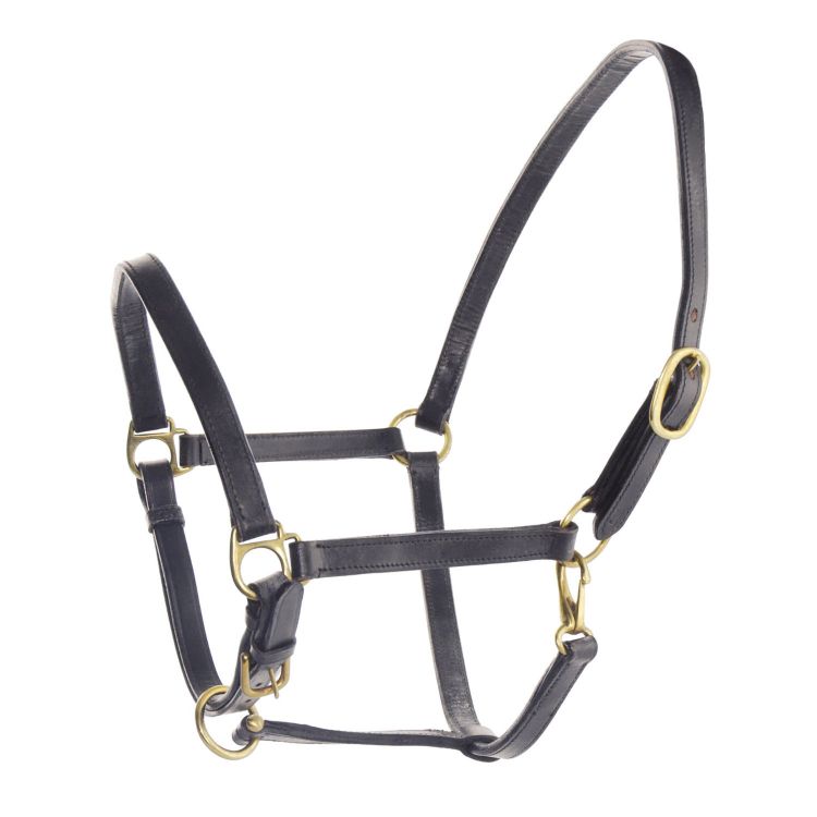 SWEDISH LEATHER HALTER