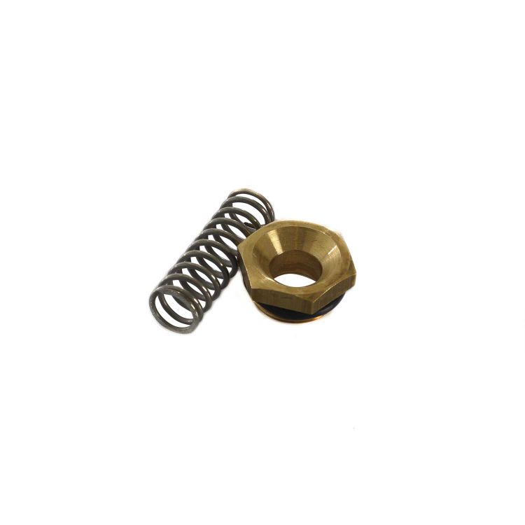 VALVE + SPRING X VA00069