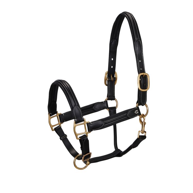 LEATHER SHAPED HALTER WITH DOUBLE ADJUSTMENT