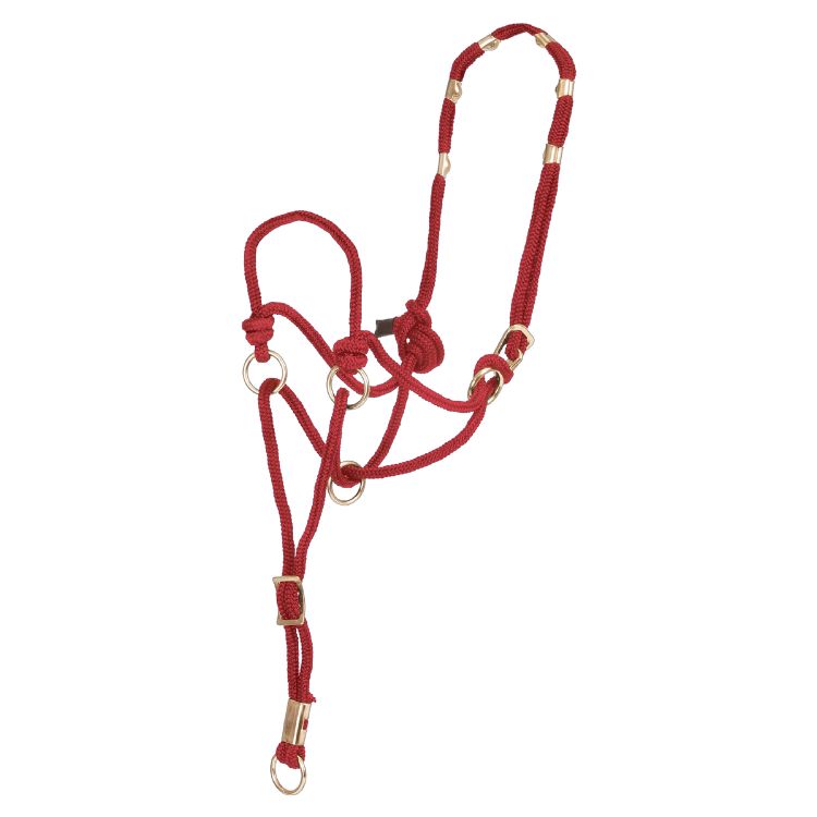 POOL'S DIRECTION HALTER