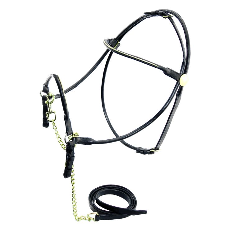 LEATHER SHOW HALTER