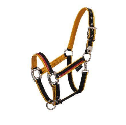 RED TRIM MODEL HALTER WITH LEAD