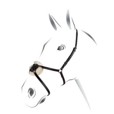 MEXICAN NOSEBAND