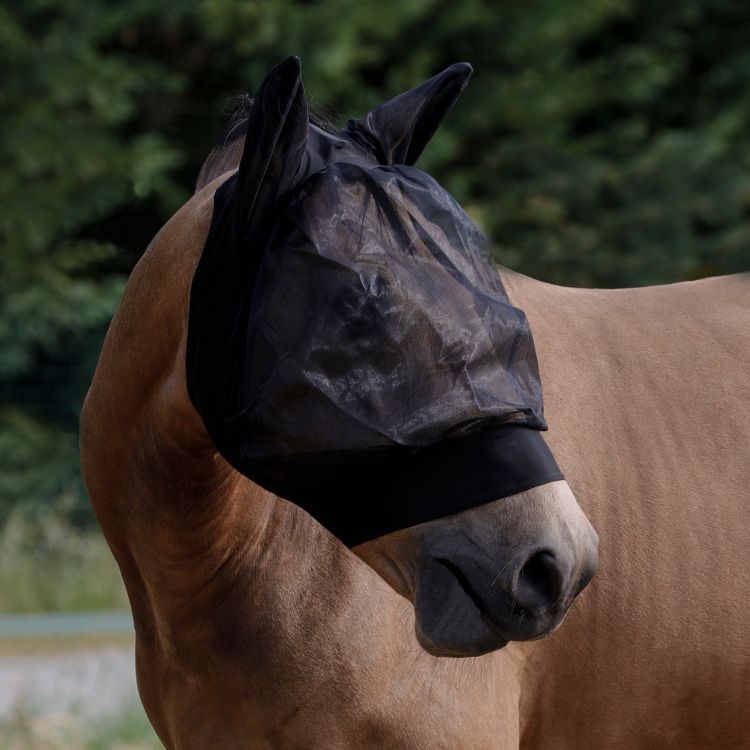 STRETCH ANTI-FLY MASK