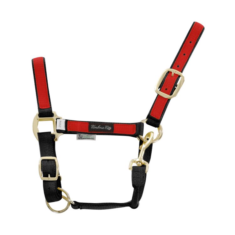 NYLON HALTER WITH COLORED PARTS