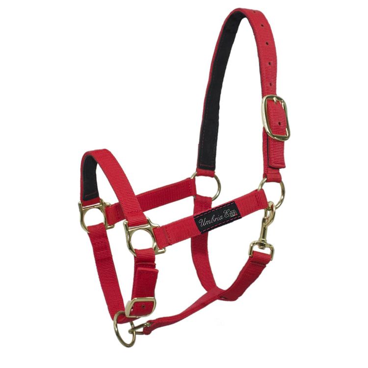 NYLON HALTER WITH LEATHER REINFORCEMENT