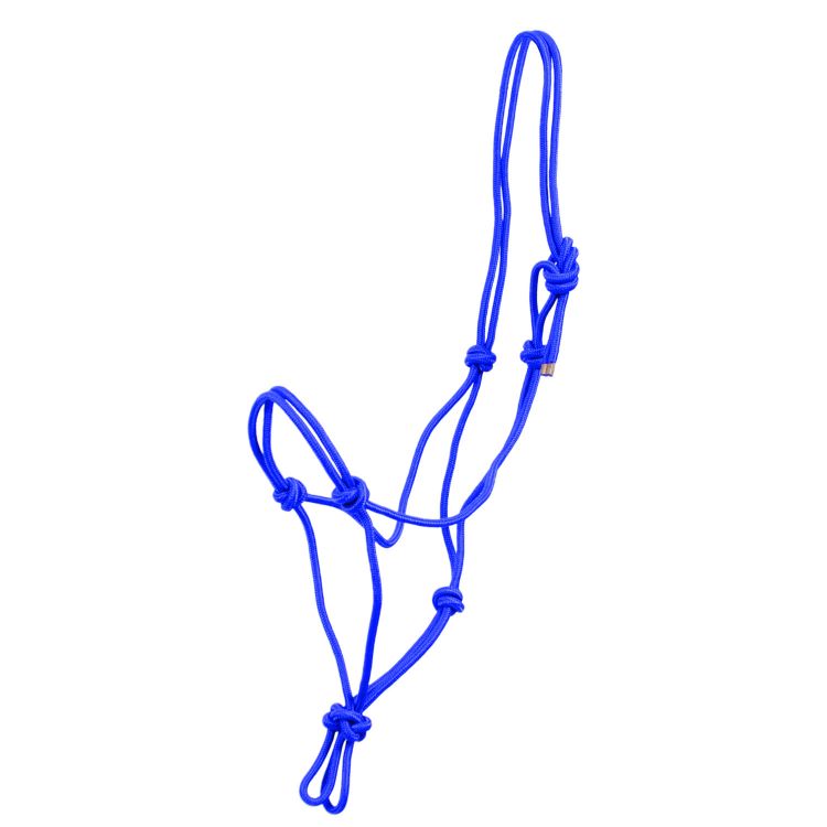 POOL'S KNOT HALTER