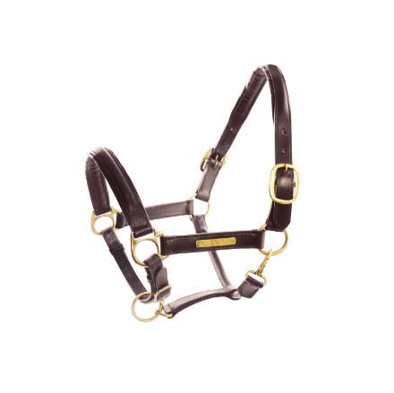 LEATHER HALTER WITH BRASS NAMEPLATES