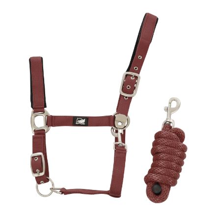 NYLON HALTER WITH LEATHER REINFORCEMENT. COMPLETE WITH LEAD