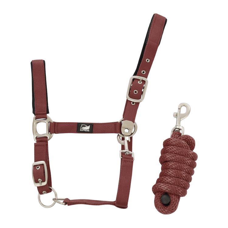 NYLON HALTER WITH LEATHER REINFORCEMENT. COMPLETE WITH LEAD