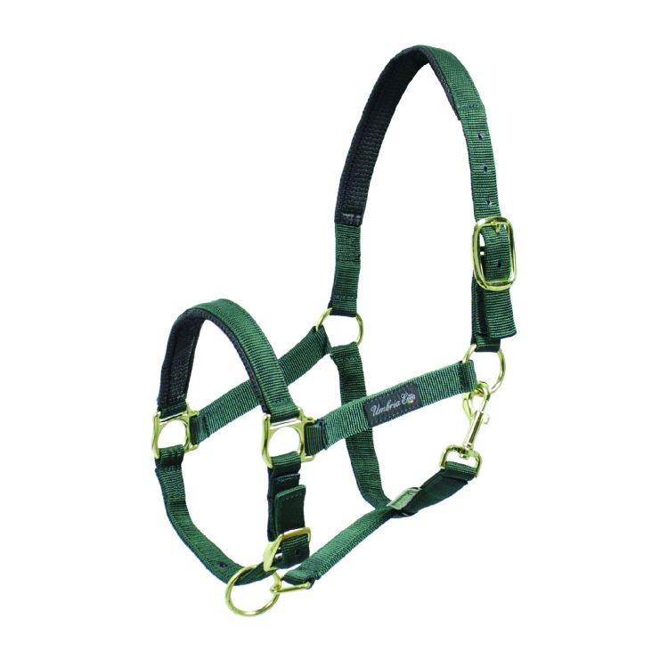 NYLON HALTER WITH NEOPRENE REINFORCEMENT