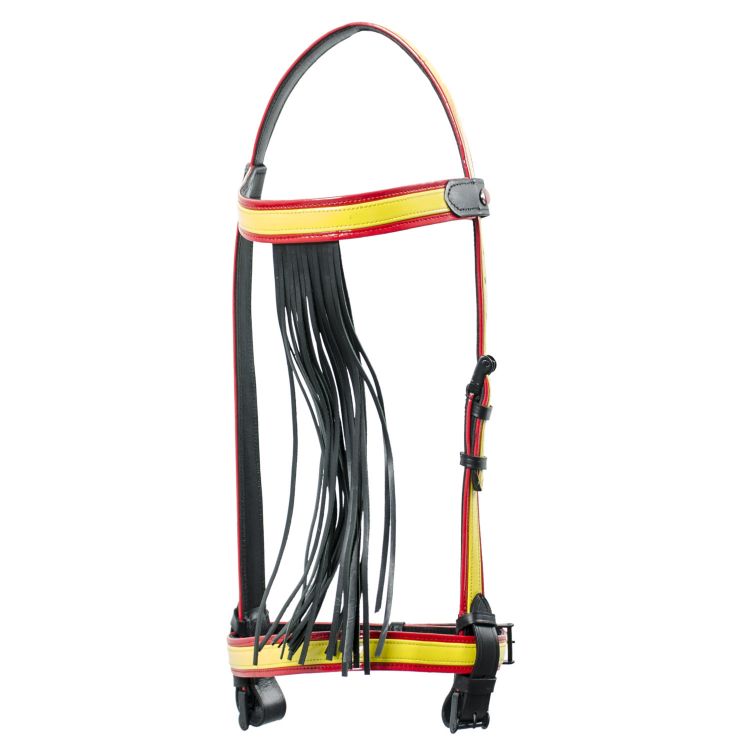 JM VAQUERA SPANISH FLAG BRIDLE