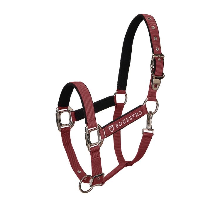Padded double adjustment headcollar