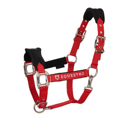 Halter with double adjustment and lead rope