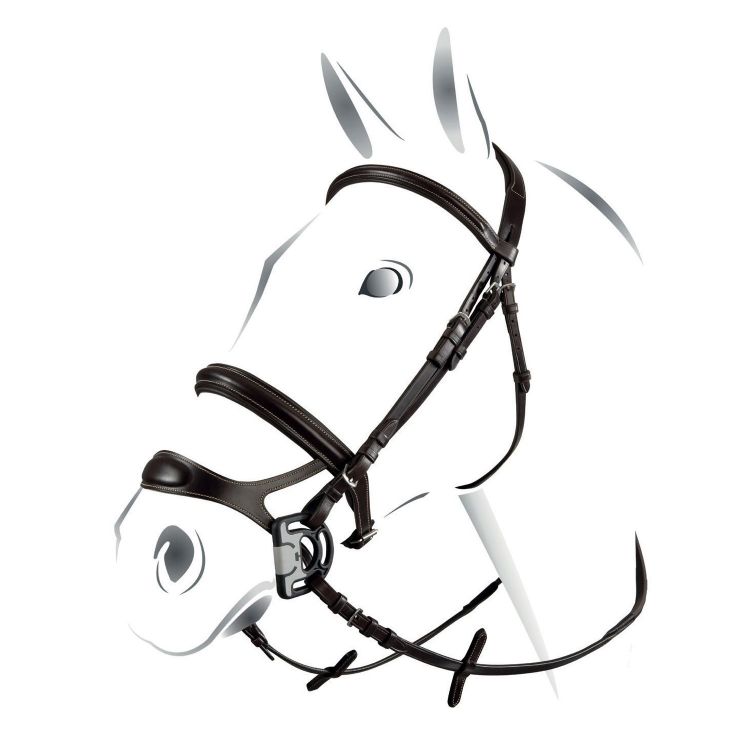 EQUESTRO COMBINED MODEL BRIDLE