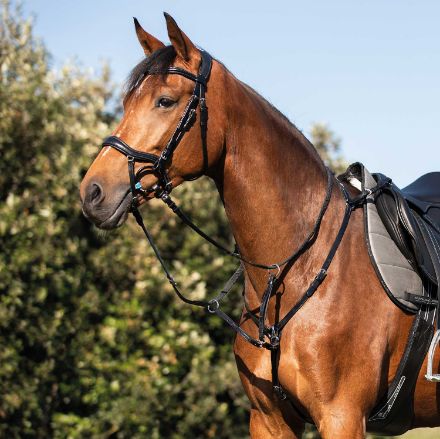 ACAVALLO CALFSKIN LEATHER HUNTING BREASTPLATE