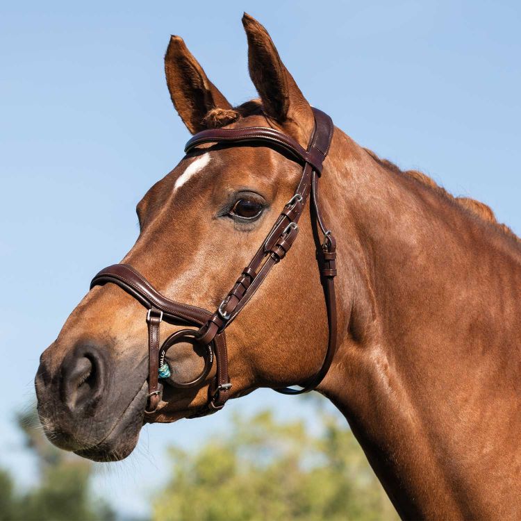 ACAVALLO ALLEGORIA LEATHER BRIDLE