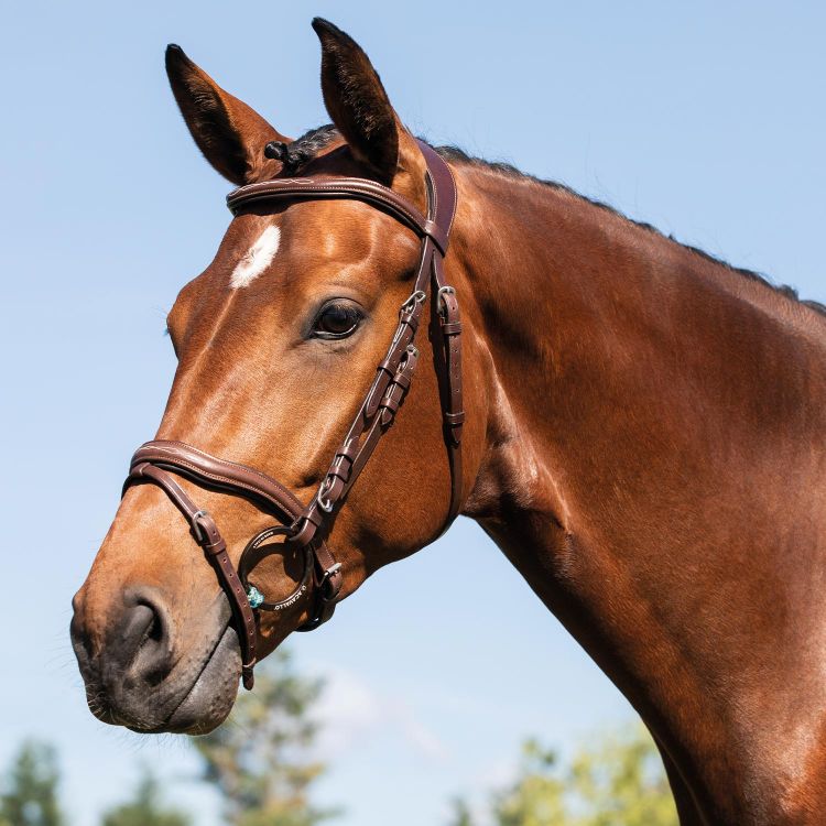 ACAVALLO AMAZZONE LEATHER BRIDLE