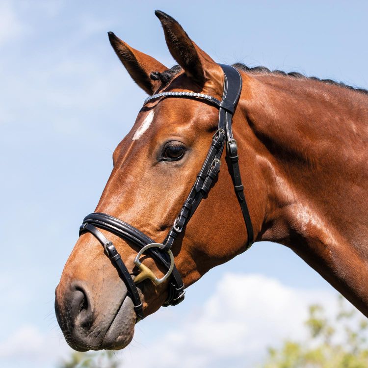 ACAVALLO CUPIDO LEATHER BRIDLE