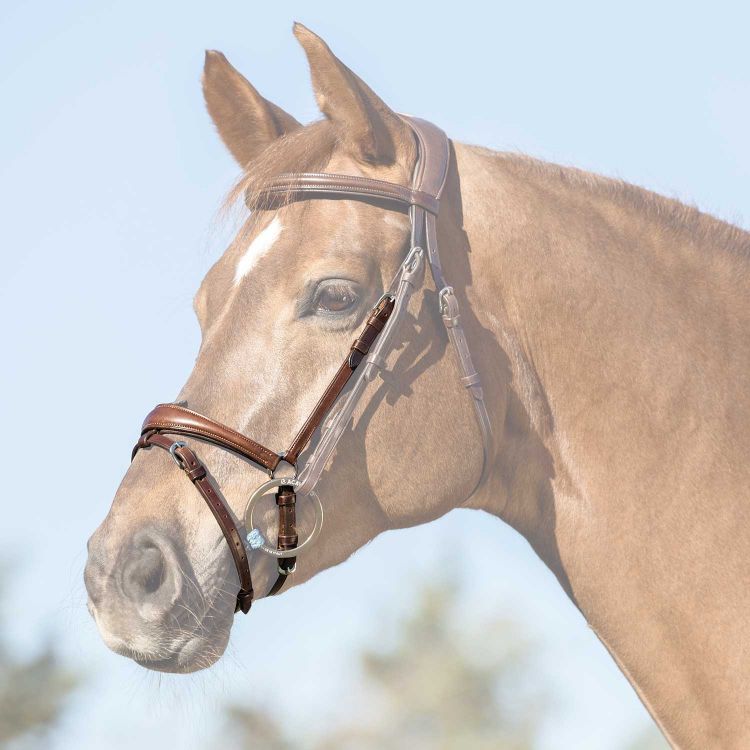 ACAVALLO FLASH NOSEBAND
