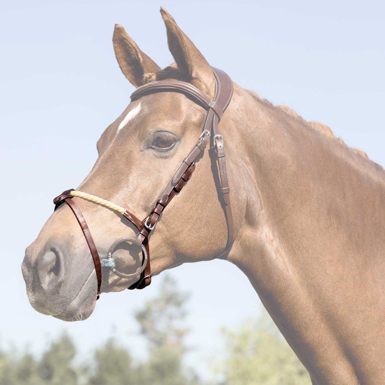 ACAVALLO ROPE FLASH NOSEBAND