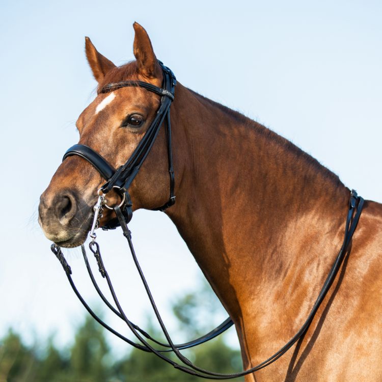 ACAVALLO PARNASO ROLLED LEATHER DOUBLE REINS BRIDLE