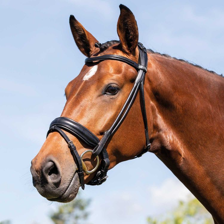 ACAVALLO FORNARINA ROLLED LEATHER BRIDLE