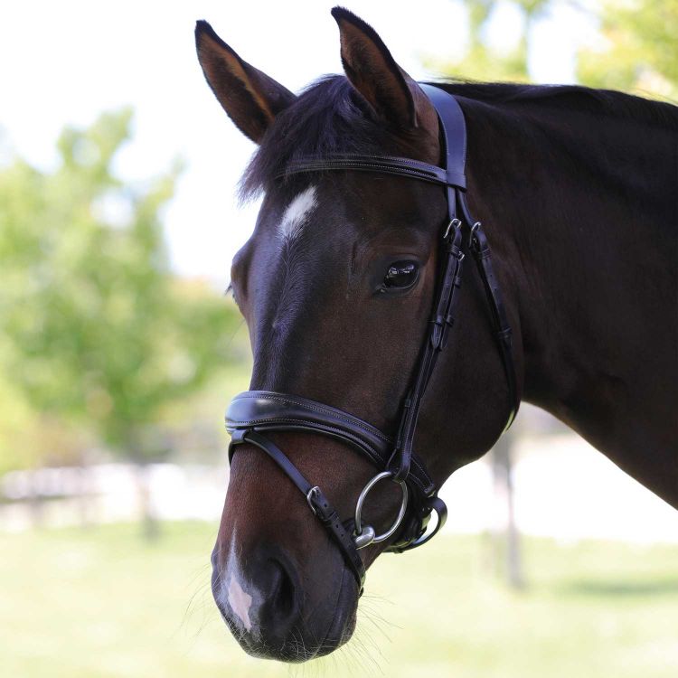 ACAVALLO MAESTÀ LEATHER BRIDLE