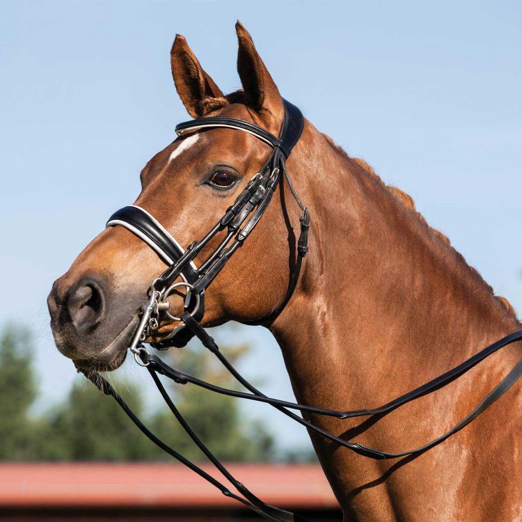 ACAVALLO GIOCONDA ROLLED LEATHER DOUBLE REINS BRIDLE