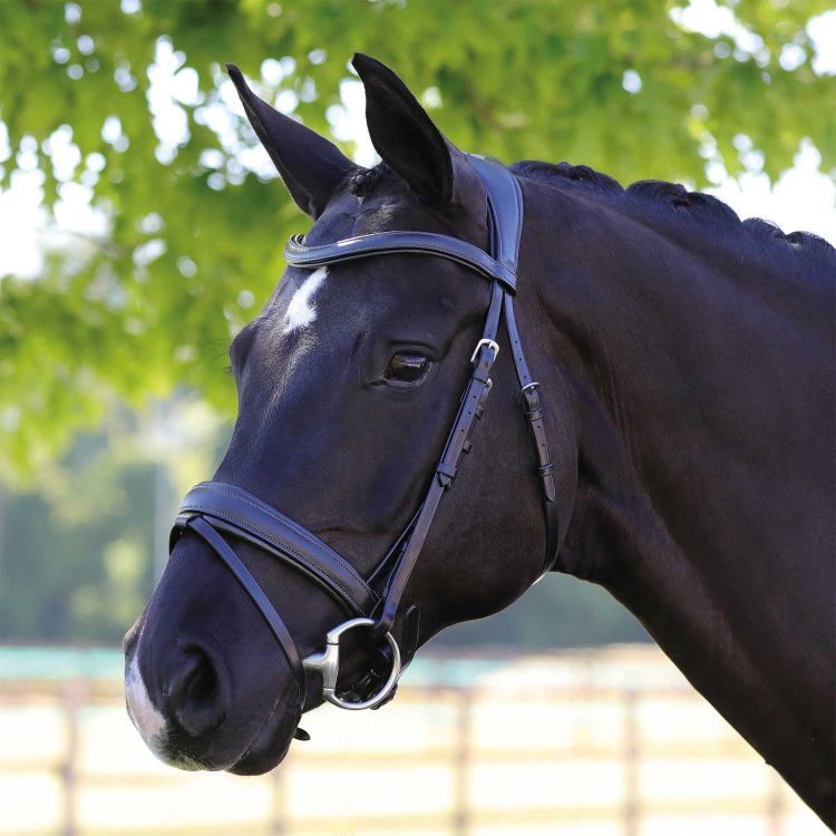 ACAVALLO PRIMAVERA LEATHER BRIDLE