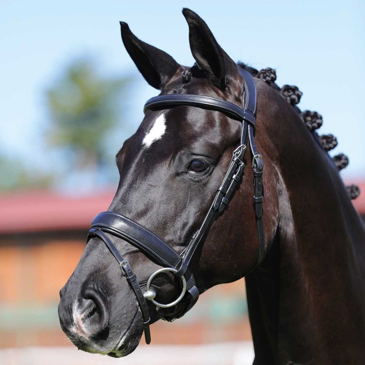 ACAVALLO FILOSOFIA LEATHER BRIDLE