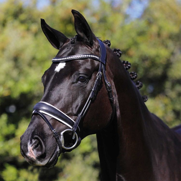 ACAVALLO POESIA ROLLED LEATHER BRIDLE