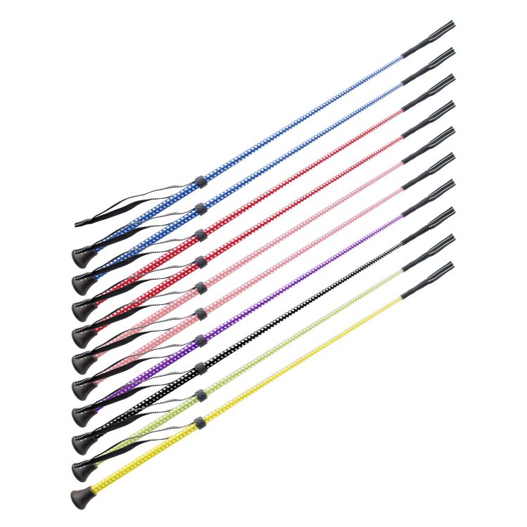 SET OF 10 PCS BICOLOR WHIPS