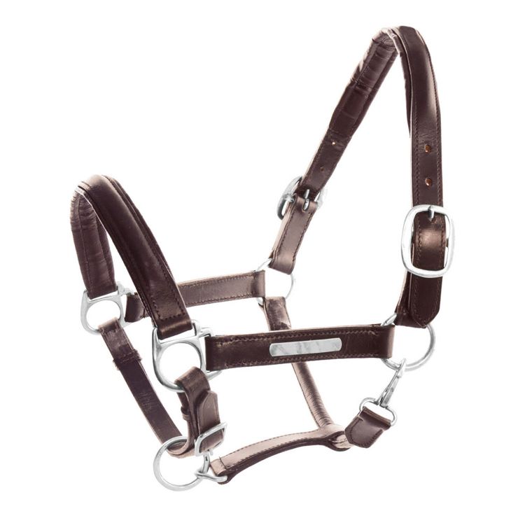 LEATHER HALTER WITH BRASS NAMEPLATES