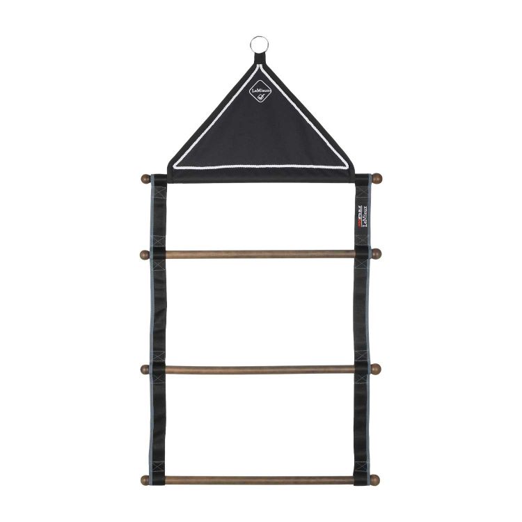 RUG HANGING RACK BLACK ONE SIZE